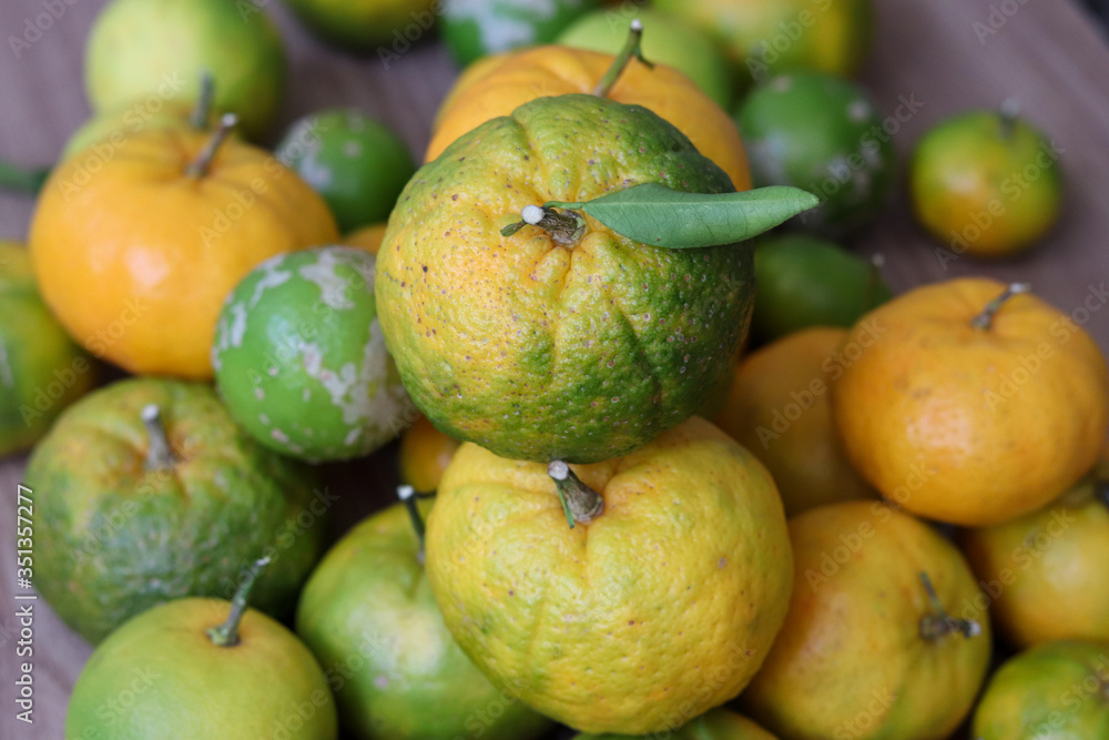 Delicious organic fruits.
Beautiful lemons, oranges and bergamots. Delicious organic fruits.
Beautiful lemons, oranges and bergamots.