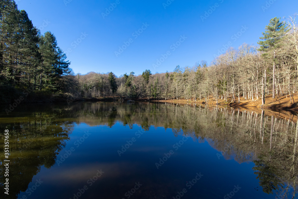 Trees reflected in the Umbrian forest lake on the Gargano promontory Trees reflected in the Umbrian forest lake on the Gargano promontory