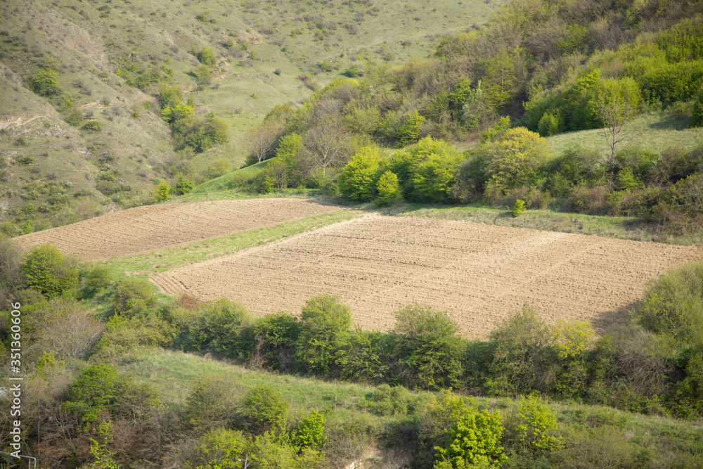 cultivated land  in mountain