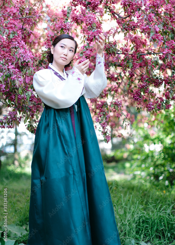 A young Korean girl in a beautiful white and sea-coloured traditional costume hanbok surrounded by blossoming pink cherry trees poses on camera A young Korean girl in a beautiful white and sea-coloured traditional costume hanbok surrounded by blossoming pink cherry trees poses on camera