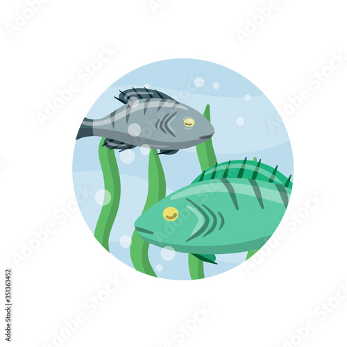 Set of fish. River animal with scales, fins and tail. Underwater life. Water with algae. Wildlife icon in circle. Element of fishing. Cartoon flat illustration