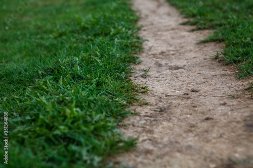 path,тропинка,grass, green, nature, road, path, field, landscape, lawn, summer, trail, garden, way, spring, plant, forest, rural, dirt, meadow, outdoors, outdoor, tree, park, land, dirt road, ground