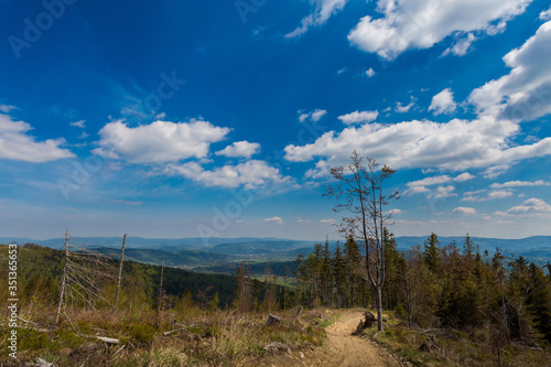 Fototapeta Naklejka Na Ścianę i Meble -  Spring trekking Beskidy Rysianka Romanka