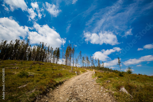 Fototapeta Naklejka Na Ścianę i Meble -  Spring trekking Beskidy Rysianka Romanka
