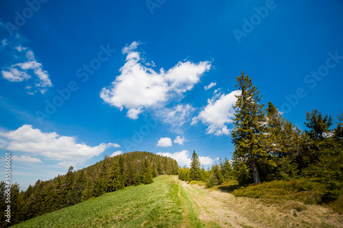 Fototapeta Naklejka Na Ścianę i Meble -  Spring trekking Beskidy Rysianka Romanka