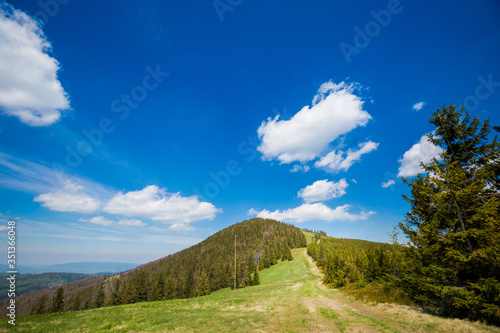 Fototapeta Naklejka Na Ścianę i Meble -  Spring trekking Beskidy Rysianka Romanka
