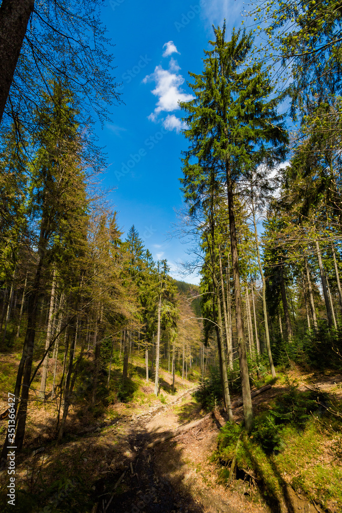 Spring trekking Beskidy Rysianka Romanka