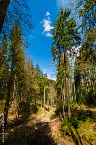 Spring trekking Beskidy Rysianka Romanka