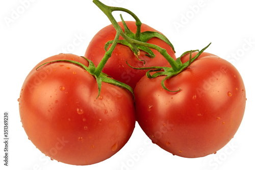 three tomatoes on a branch with water droplets isolated on white.