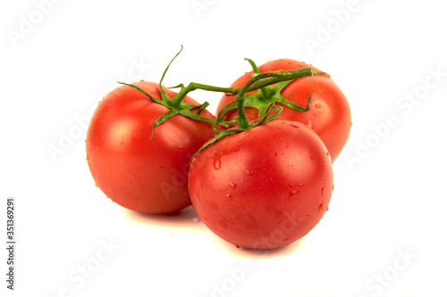 three tomatoes on a branch with water droplets isolated on white background