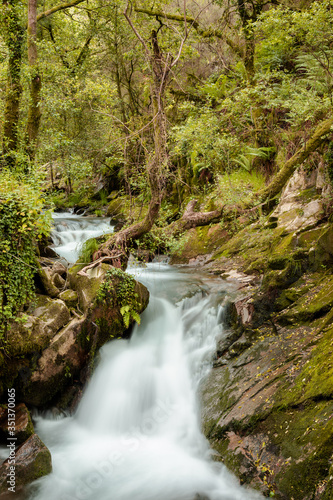 Waterfall in surrounded by tress and rocks in a forest in Galicia