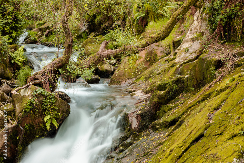 Waterfall in surrounded by tress and rocks in a forest in Galicia Waterfall in surrounded by tress and rocks in a forest in Galicia