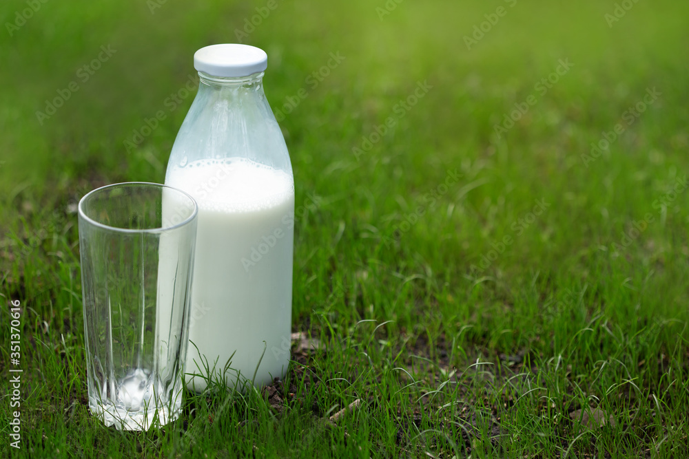glass of milk on grass glass of milk on grass