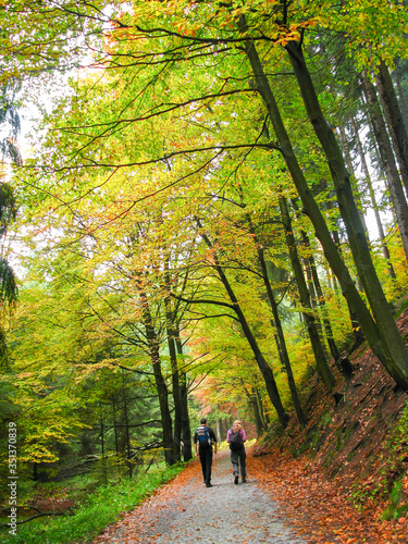 Deutschland, Sachsen, Sächsische Schweiz, Wanderer im Herbstwald photo