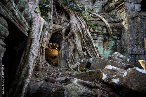 Kambodscha, Siem Reap Province, Krong Siem Reap, Angkor, Ta Prohm-Tempelkomplex. Dieser Tempel ist als 
