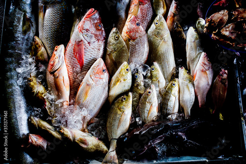 Thailand, Chang Wat Phang-nga, Tambon Takua Pa, Gekühlte Fische , authentische Reise nach Phang Nga, Leben bei den Einheimischen photo