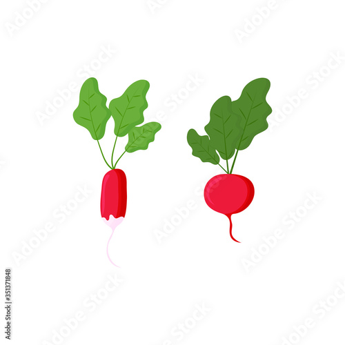 Set of red radish of different shapes with leaves, isolated on white background. Vector flat illustration.