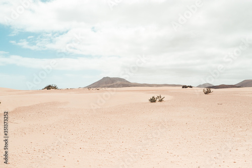 Spanien, Kanaren, La Oliva, Auf der Insel Fuerteventura. Südlich von Corralejo erstreckt sich das Dünengebiet des Nationalparks - Parque Natural de las Dunas de Corralejo auf ca. 11 km Länge photo