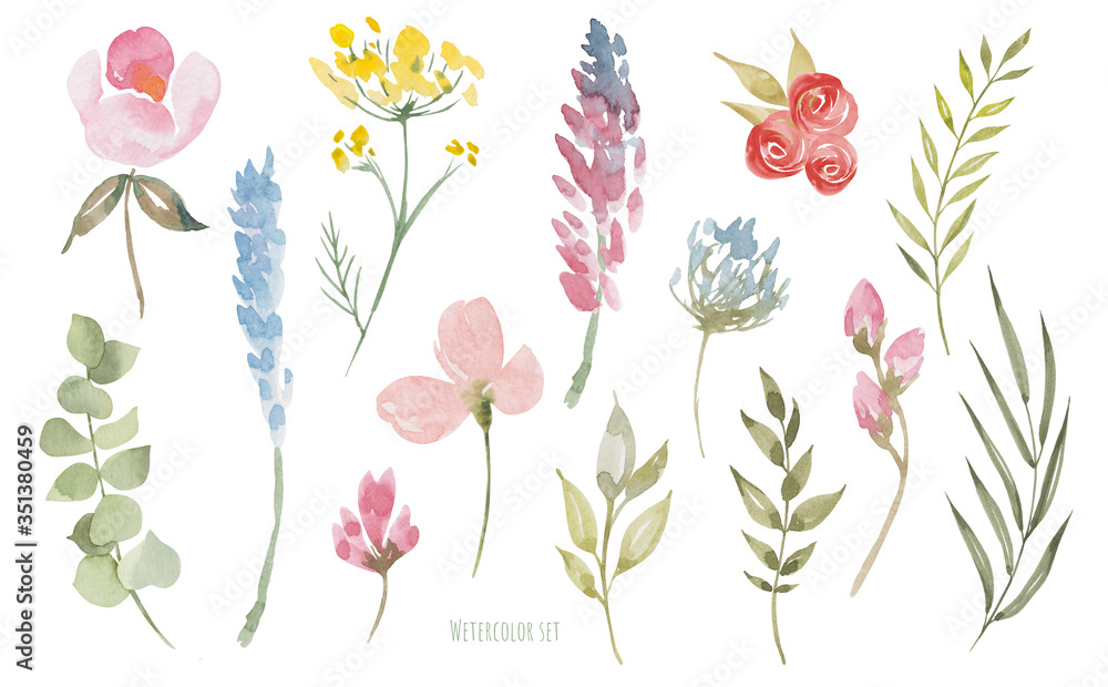Wildflowers Watercolor Flowers And Leaves Set Hand Made Free Botanical Illustration Stock