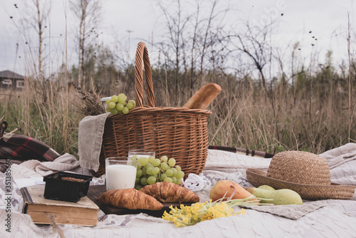 Picnic on the grass. A wicker basket with milk and bread, fruit, a hat and a book on a cozy blanket spread on the dry grass in the field.