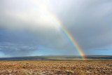 Autumn landscape with rainbow in Pingvellir National Park, Iceland, Europe