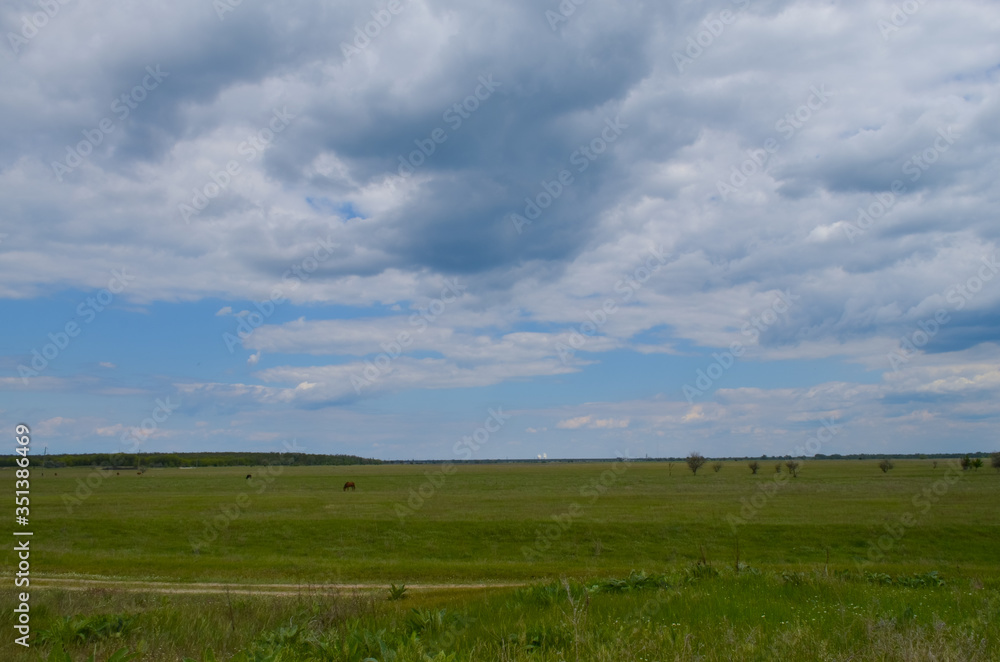 green field and blue sky