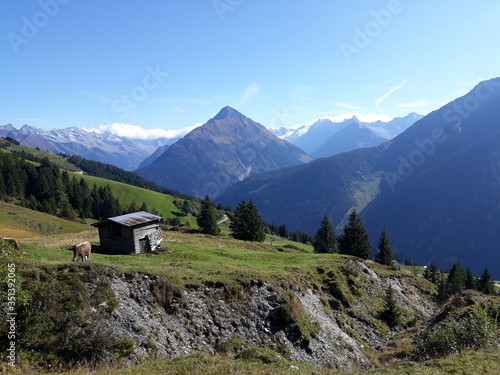 view about mayrhofen in austria