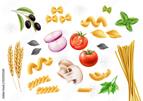 Vector conchiglie pasta tomato basil mushroom set