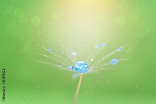 Dandelion fluff with the planet earth inside and water drops on a defocus green background. National Earth Day, nature protection, eco-friendly. macro photo