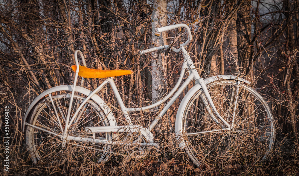old bike parked in tall grass