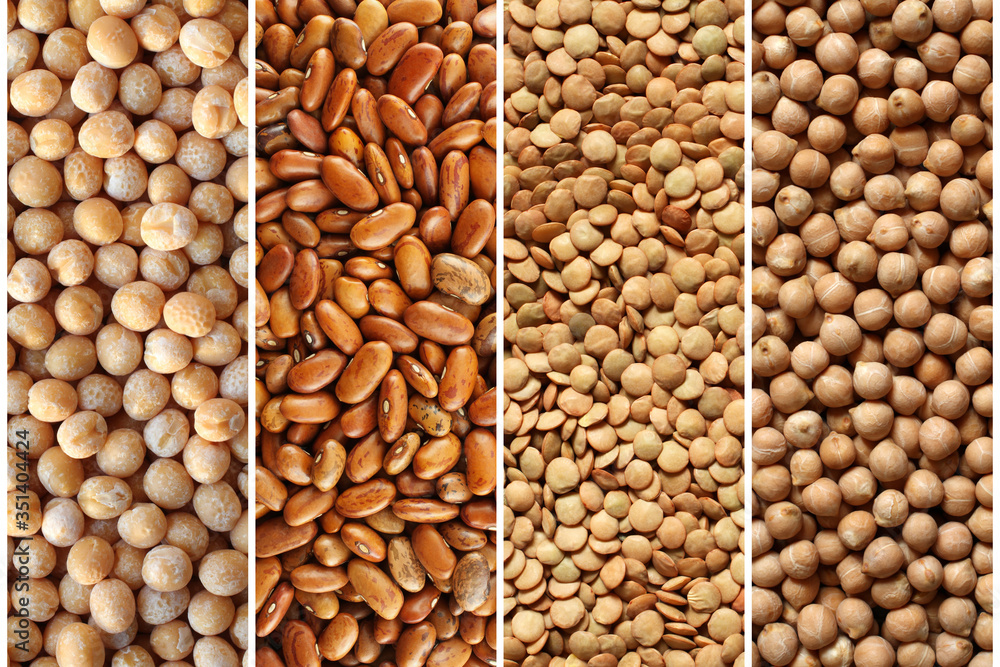 Fototapeta premium Organic legumes collage - dry yellow peas, brown kidney beans, green lentils, chickpeas