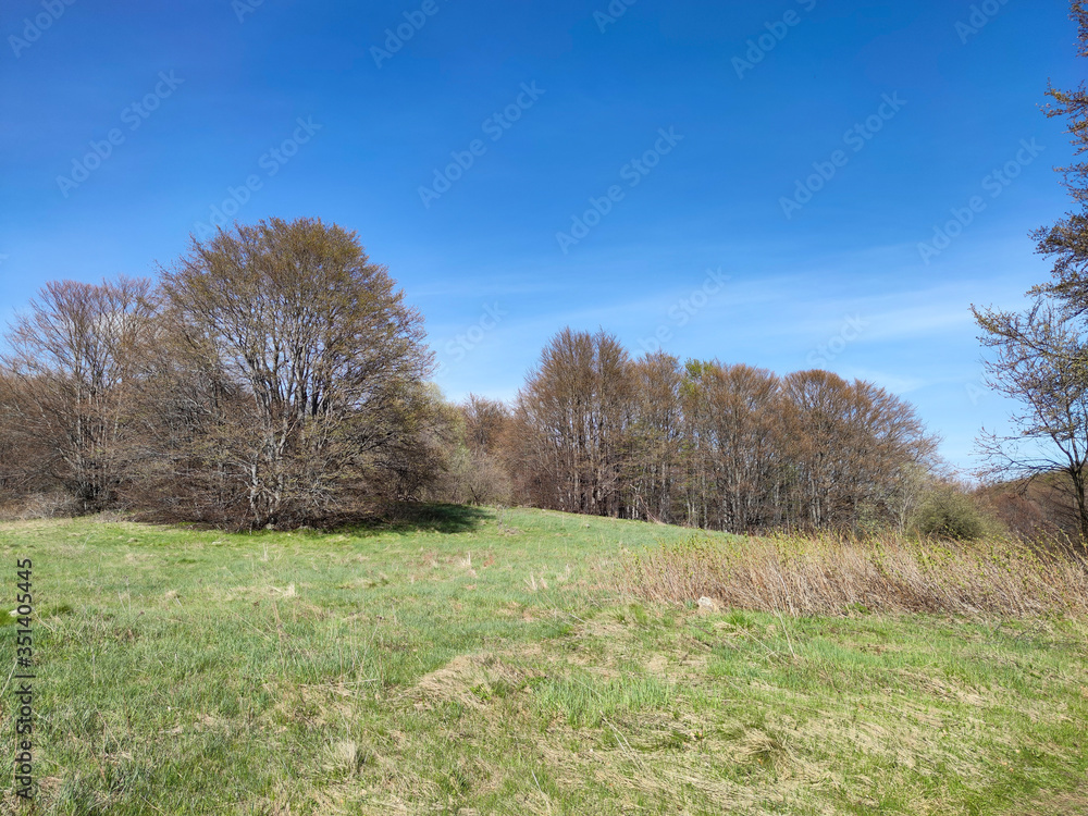 Spring landscape of Vitosha Mountain, Bulgaria Spring landscape of Vitosha Mountain, Bulgaria