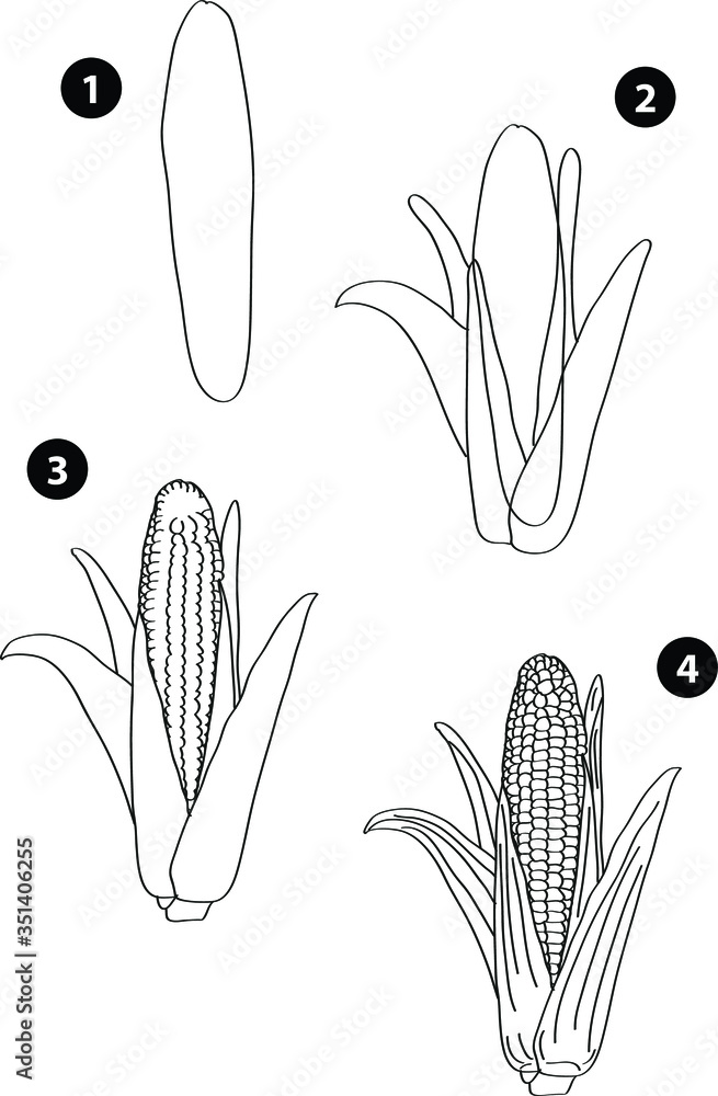 Naklejka premium Drawing learn step by step tutorial techniques plants set with vegetables fruits flowers trees vegetation for kids workbook isolated background. Vector illustration corn