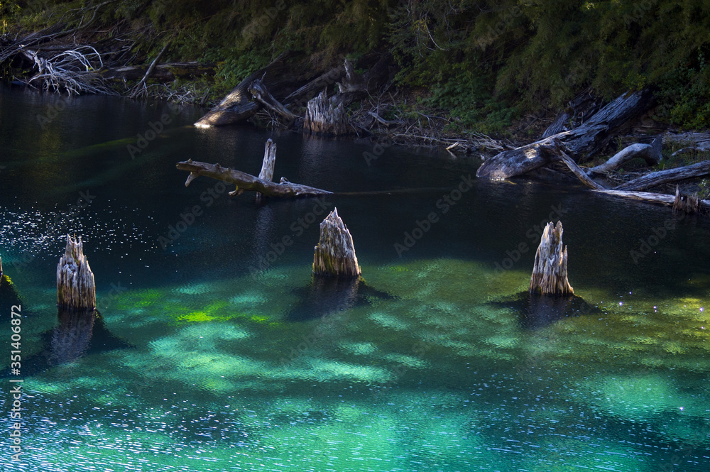 Fototapeta premium Laguna Captren parque Nacional Conguillio naturaleza Arboles lagunacolor turqueza