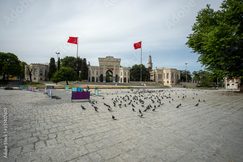 Pigeons in istanbul university square