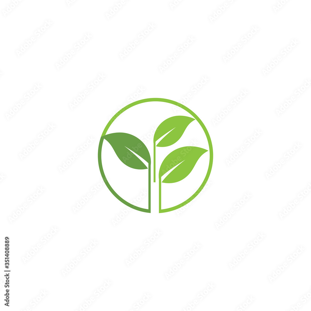 Leaf Logo Template vector symbol Leaf Logo Template vector symbol
