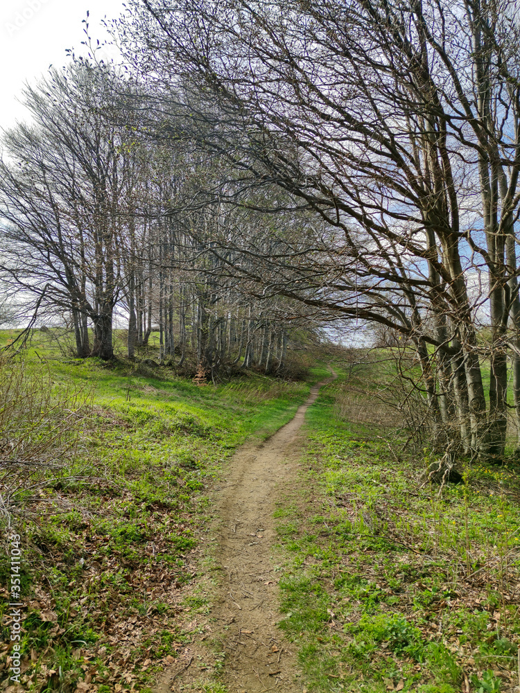 Obraz premium Spring landscape of Vitosha Mountain, Bulgaria