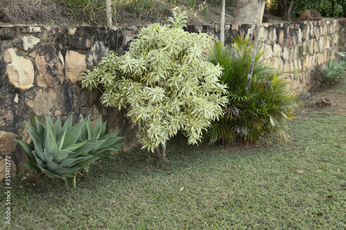 The beautiful gardening of the São Bento Monastery, a public place in Brasilia, a Catholic temple, masses with Gregorian chant, meditation and worship that brings peace to the spirit and soul photo