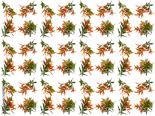 Foliage pattern. Pattern of leaves. Leaf pattern texture.