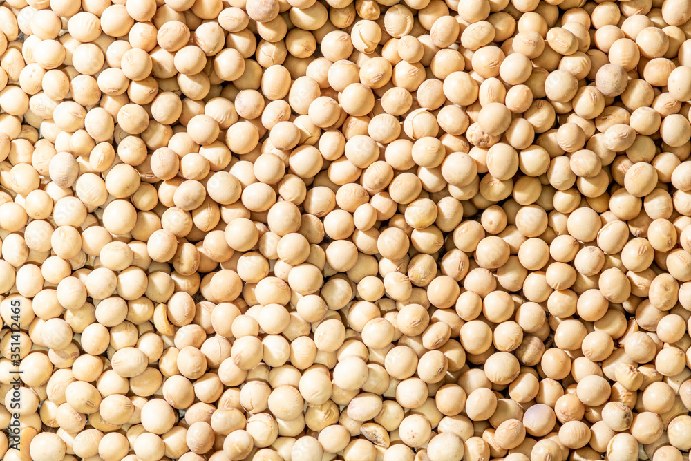 Brazilian soybean seeds background with selective focus Brazilian soybean seeds background with selective focus