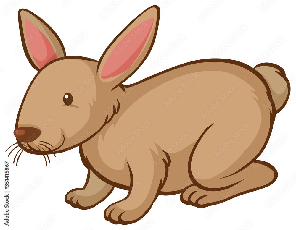 One brown rabbit on white background One brown rabbit on white background