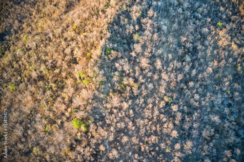 This unique photo shows an autumn forested hill with a few green trees in the evening sun. The picture was taken in Hua Hin in Thailand with a drone!