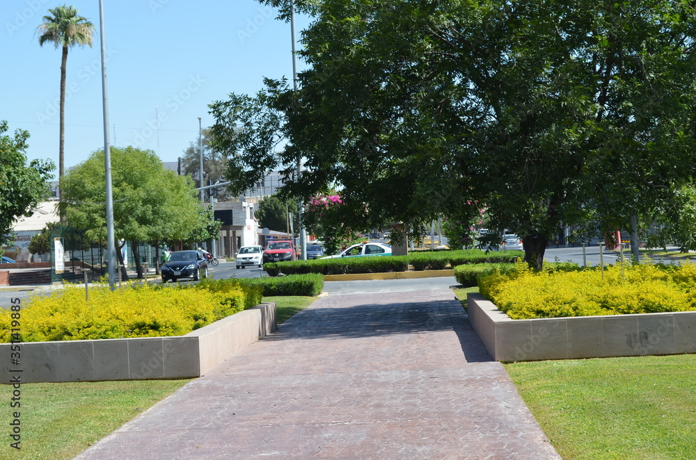 Obraz premium jardin