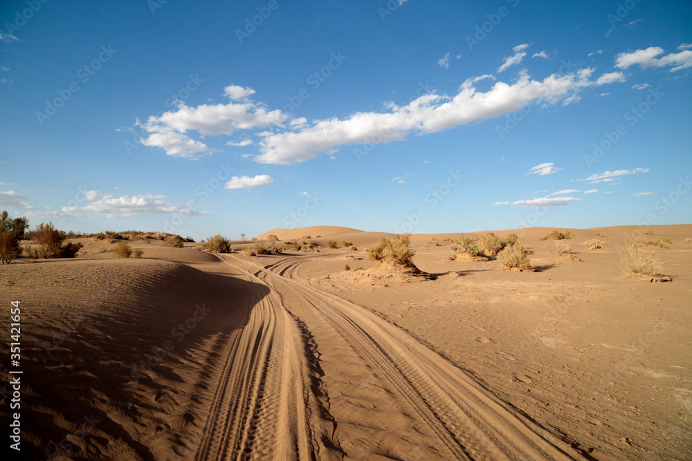 sand dunes in the desert