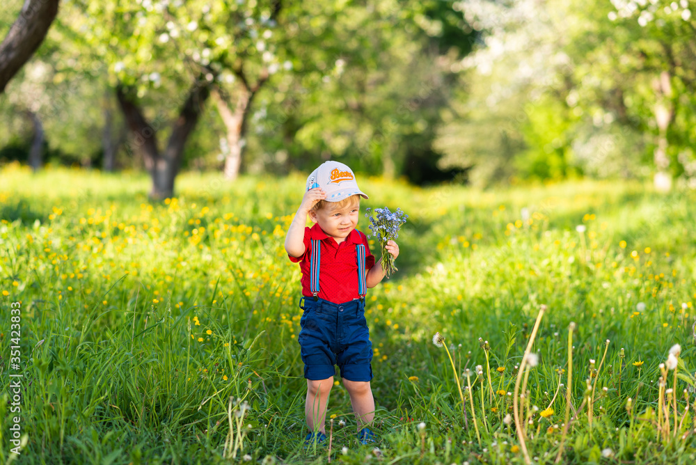 child boy has fun playing in nature among flowers and collects a bouquet child boy has fun playing in nature among flowers and collects a bouquet