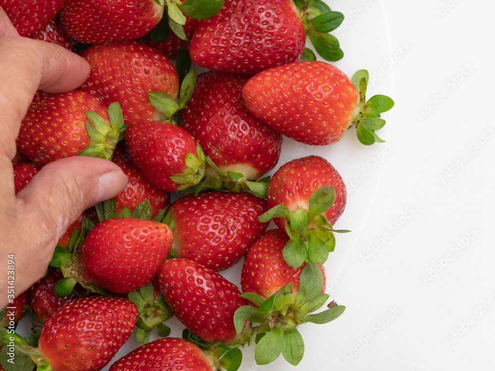 Old hand picks strawberry from white bowl and white background. Top view. Copy space. Old hand picks strawberry from white bowl and white background. Top view. Copy space.