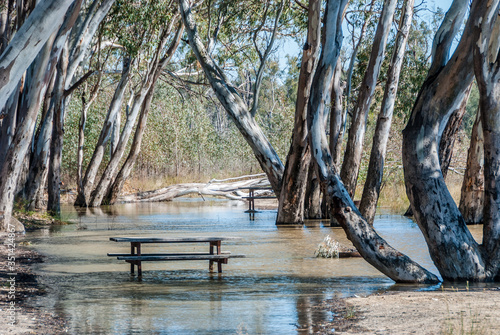 Picnic Table on the Murray during Flood