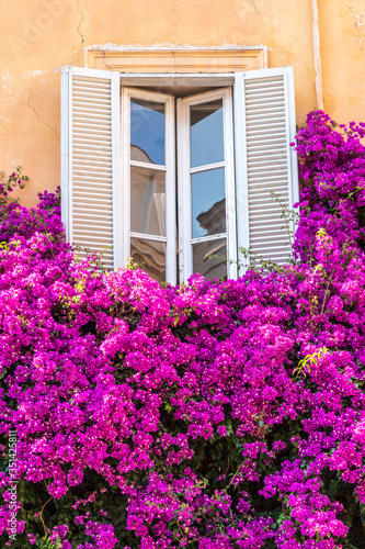 window with flowers - Rome - Italy