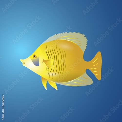 A yellow tang illustration.