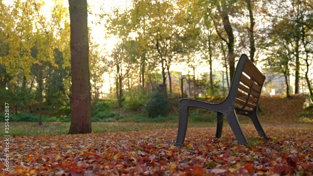 Autumn Het Park in Parkkade of Rotterdam, wooden bench on ground with red leaves Autumn Het Park in Parkkade of Rotterdam, wooden bench on ground with red leaves